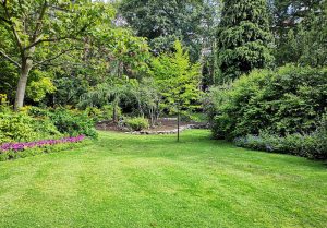 Optimiser l'expérience du jardin à Tilloy-lez-Cambrai